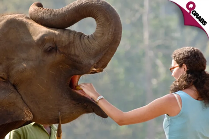 From QR3367 Per Person, Have Your Own Adventure in Sri Lanka for 6 Nights / 7 Days - INCLUDES All Transfers, Elephant Orphanage, Botanical Gardens and Much More! (Up to QR10000 Value)